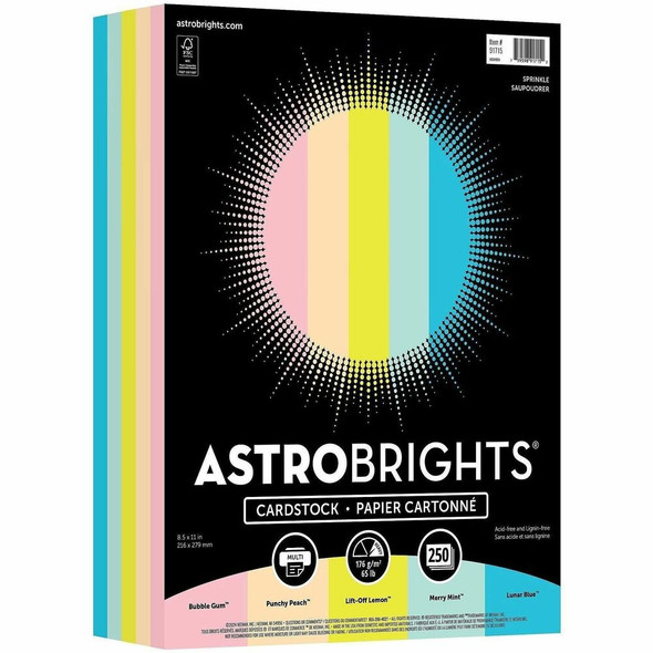 Neenah  Printable Multipurpose Card Stock 91715