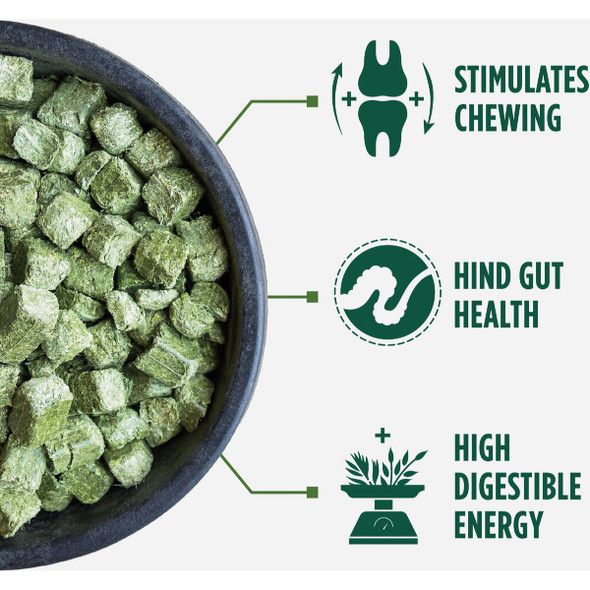 Standlee Premium Western Forage 40 Lb. Premium Alfalfa Cubes Standlee Premium Western Forage 40 Lb. Premium Alfalfa Cubes