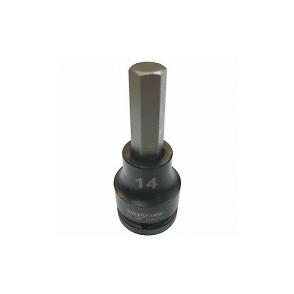 Westward Impkt Skt Bt St,Steel,Blk Oxd,H14 20HX51