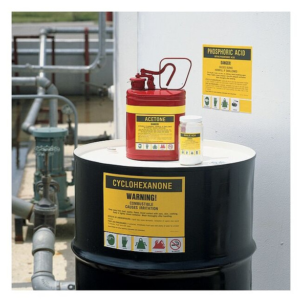 Brady Chemical Label,7 In. H,PK25 7254RLS