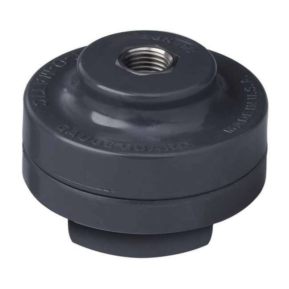 Plast-O-Matic Gauge Gd,Poly,Viton Dia,1/4 In Gauge Pt GGVS1-PP