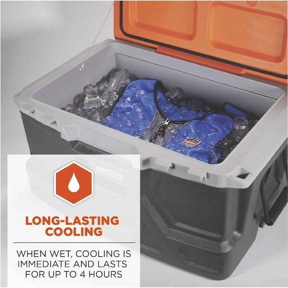 Ergodyne Cooling Vest,4 hr. Time,XL Size,Blue 6667