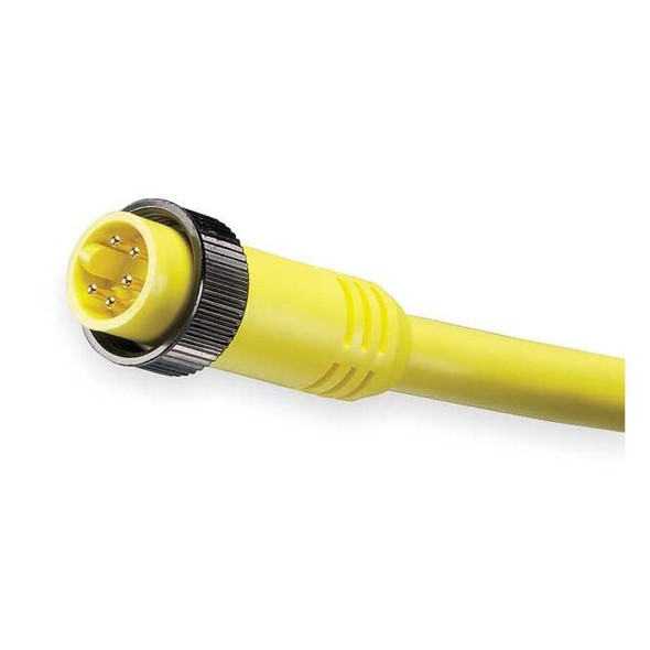 Brad Harrison Cordset,5 Pin,Plug,Male 105002A01F120