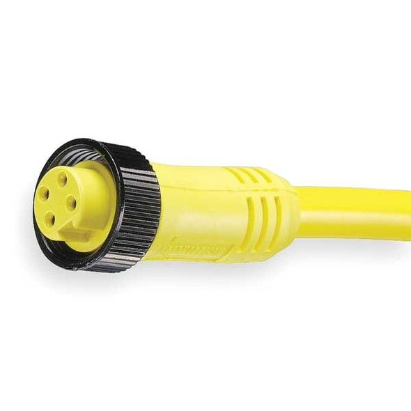 Brad Harrison Cordset,4 Pin,Receptacle,Female 104000A01F060