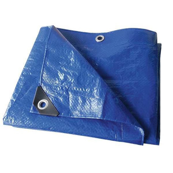 Standard Duty Tarp, 28 ft 10 in x 49 ft 2 in, 3.2 Mil, Blue, Polyethylene