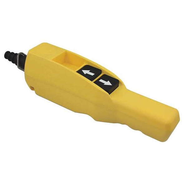 Dayton Pendant Station,2NO,Yellow 20C813