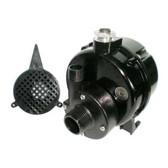 Dayton POM 1/50 HP Compact Submersible Pump 115V 12U597