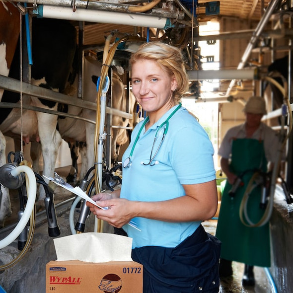 WypAll General Clean L10 Light Cleaning Towels (01772), Dairy Towels, 1-PLY, Pop-Up Box, White,PK18