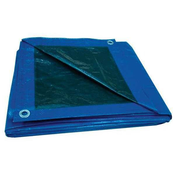 Standard Duty Tarp, 19 ft x 19 ft 6 in, 5.1 Mil, Blue, Polyethylene