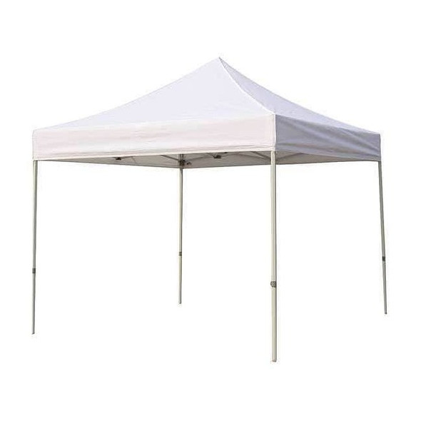 Manufacturer Varies Instant Canopy,10 Ft. X 10 Ft. 5NY99