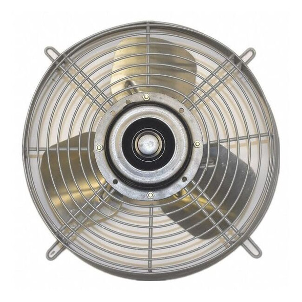 Dayton Guard Mounted Exhaust Fan,Blade 12" Dia. 484X53