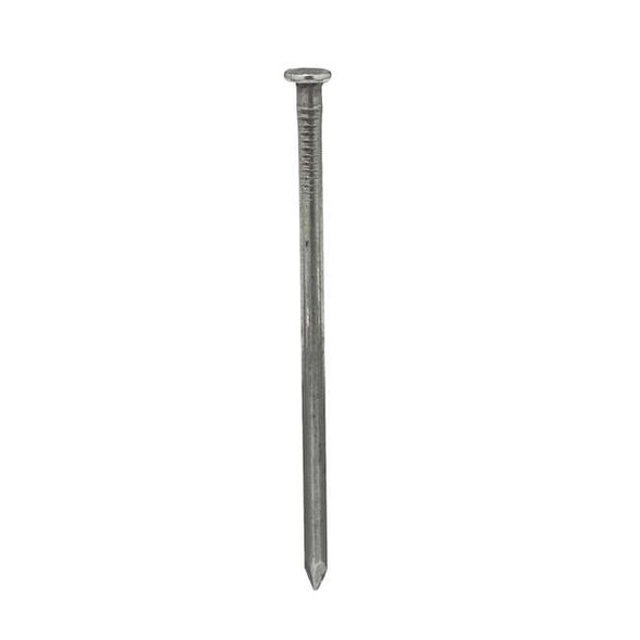 Common Nail, 3-1/2 in L, 16D, Steel, Bright Finish, 8 ga, 1320 PK