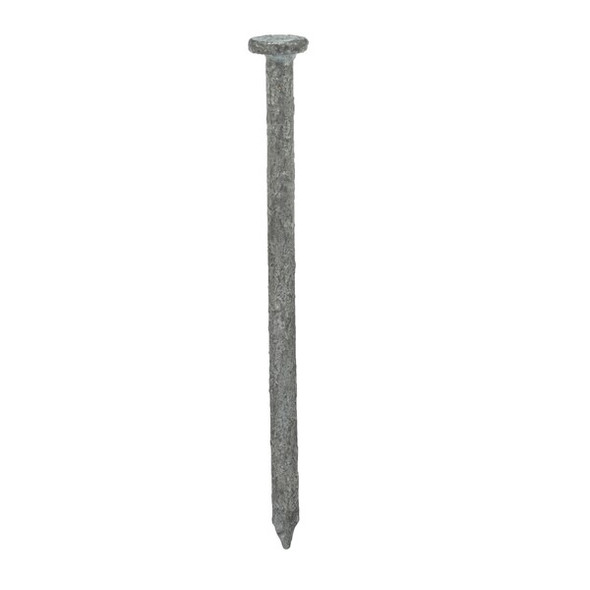 Common Nail, 2-1/2 in L, 8D, Steel, Galvanized Finish, 10.25 ga, 2730 PK