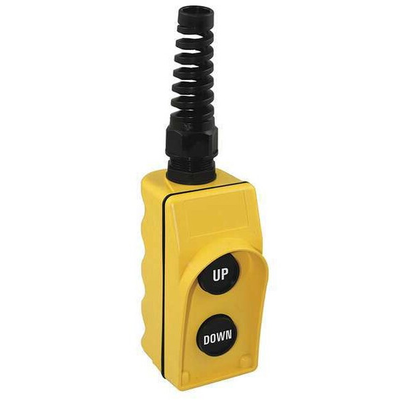 Dayton Pendant Station,2NO,Yellow 20C812