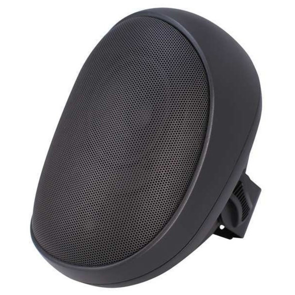 Speco Technologies Speaker,Indoor-Outdoor,9-1-2 In. SP4AWET