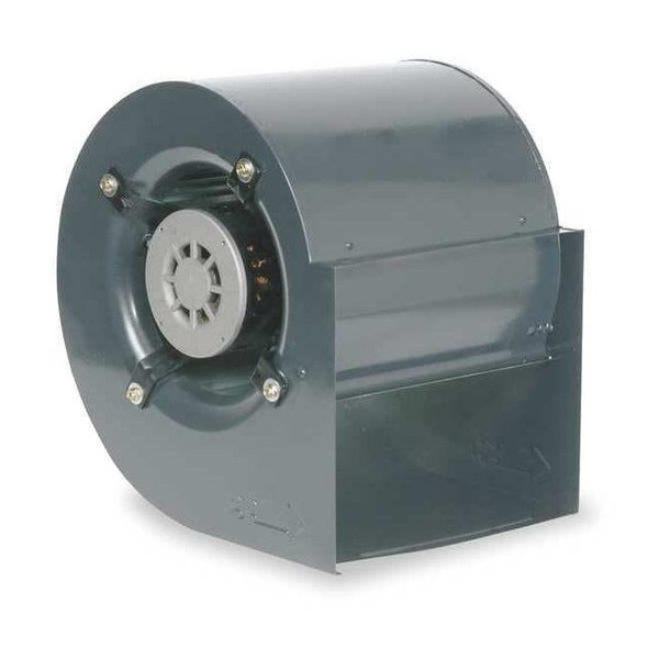 Dayton Blower, 1086 RPM, 3 Speed, 208/230V AC 1XJY4