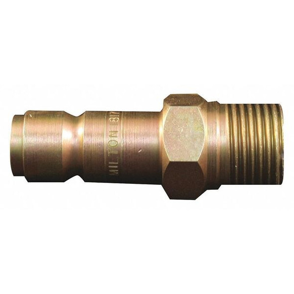 Milton G Style Plug,1/2" MNPT,PK5 1817