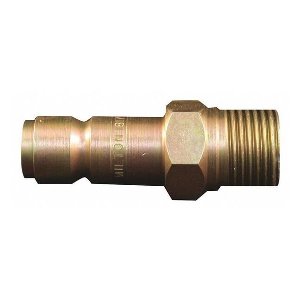 Milton G Style Plug, 1/2 in MNPT, Steel, PK5 1817
