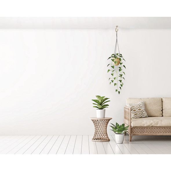 National Hardware 32 In. Brushed Gold Steel Modern Ceiling J-Hook Plant Hanger National Hardware 32 In. Brushed Gold Steel Modern Ceiling J-Hook Plant Hanger