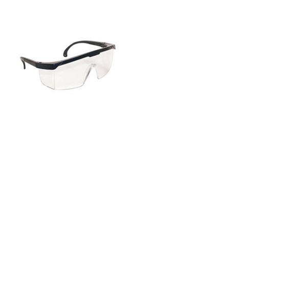 Black Frame Hornets with Clear Lens 5270