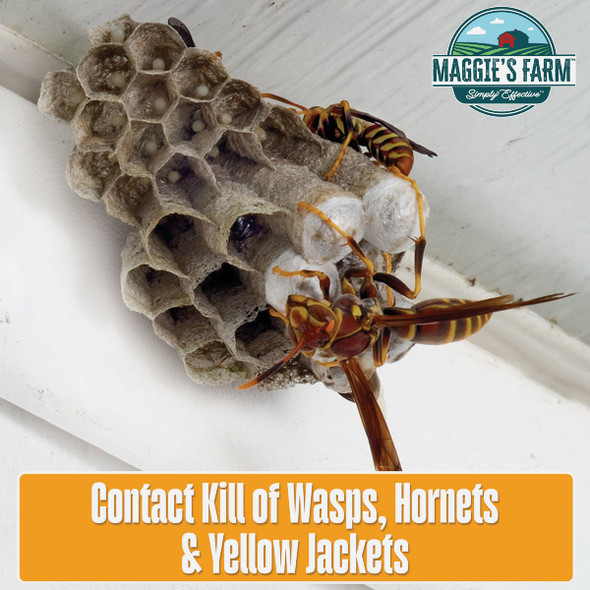 Maggie's Farm 14 Oz. Foaming Aerosol Spray Wasp & Hornet Killer