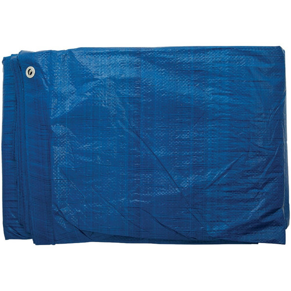 Do it Best Blue Woven 30 Ft. x 40 Ft. General Purpose Tarp 767922 767922