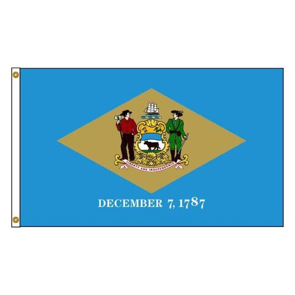 Annin Flagmakers Delaware Flag,5x8 Ft,Nylon 140880