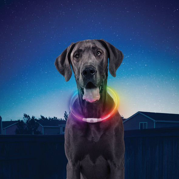 Nite Ize Nite Howl Lithium Polymer Rechargeable Color Changing LED Safety Necklace