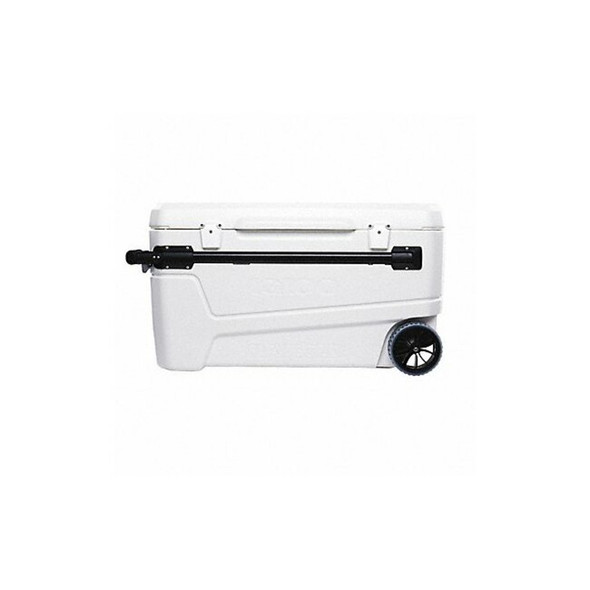 Igloo Chest Cooler,110 qt.,White 50170