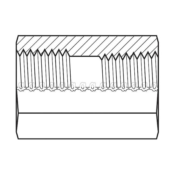 Adaptall Hose Adapter,1/4",BSPT,1/4",NPT 9044-0404