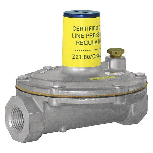 Gas Pressure Regulator, Natural Gas, -40 Degrees  to 205 Degrees F