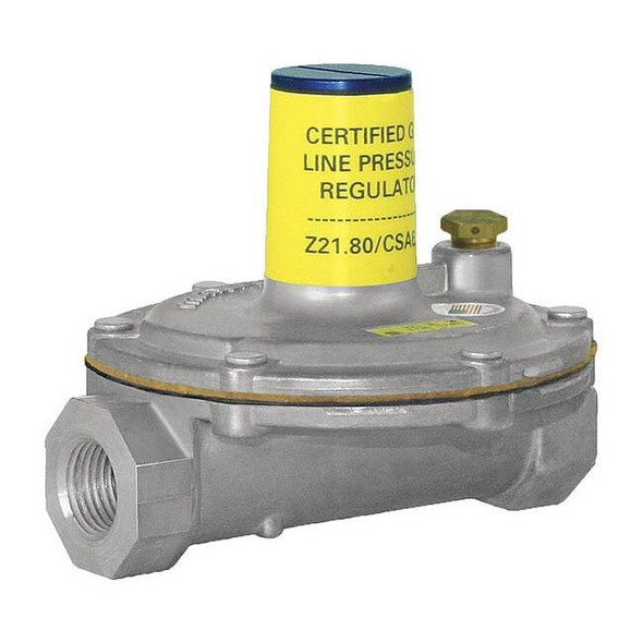 Gas Pressure Regulator, Natural Gas, -40 Degrees  to 205 Degrees F