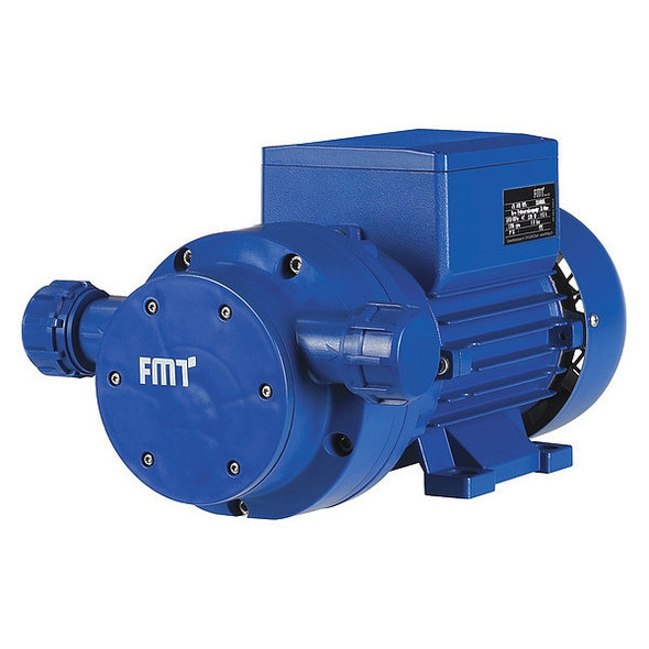 Blue Def Tote Pump System,120VAC,60 Hz,3450 rpm DEFTP120SN