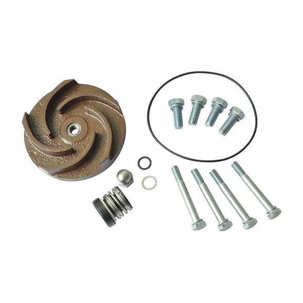 Dayton Pump Repair Kit,For 2ZWP7A,2ZWP8A 21TG43