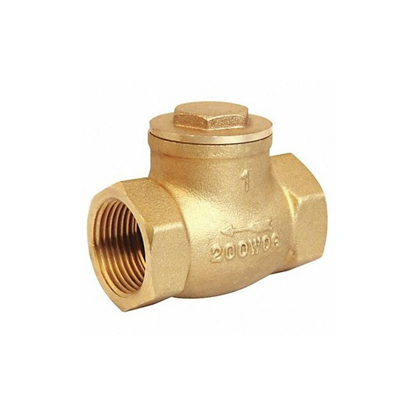 Manufacturer Varies 1" NPT Brass Swing Check Valve 10F324