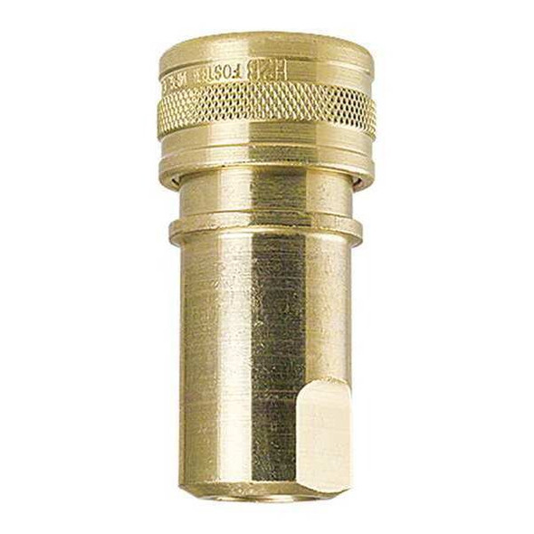 Foster Brass Socket,1/4"x1/4"FPT H2B