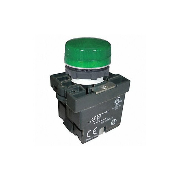 Dayton Pilot Light, LED, 22mm, 24VAC/DC, GR, Plastic 30G209