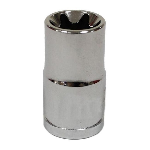 Westward Socket 3/8 in Dr, 1 1/4 in L, Chrome 20HX28