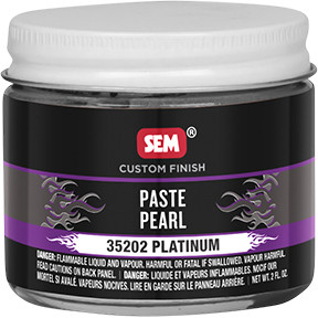 COLOR HORIZONS Paste Pearls - Platinum 35202