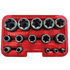 15 Pc. EP Torx Plus Socket Set 5420