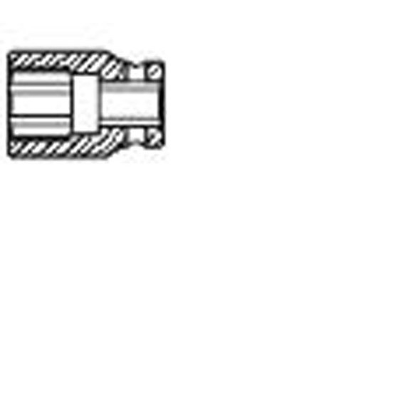 1/4" Drive 8mm Impact Socket 808M