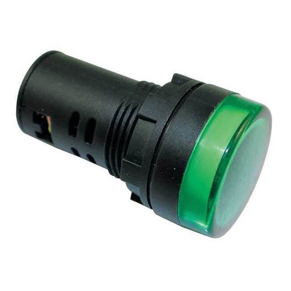 Dayton Raised Indicator Light,22mm,120V Green 22NZ04