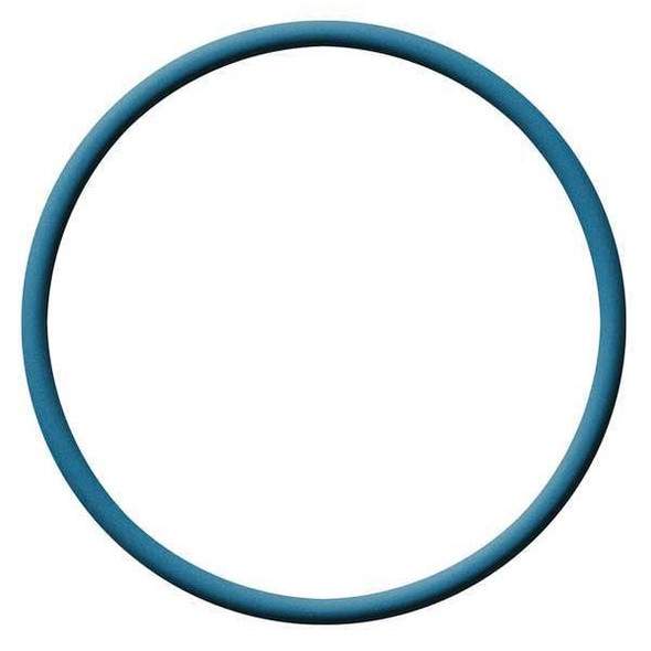 Detecto X-Ray O-Ring,Dash 014,Buna N,0.07 In. #014 Buna FDA-Buz-XR