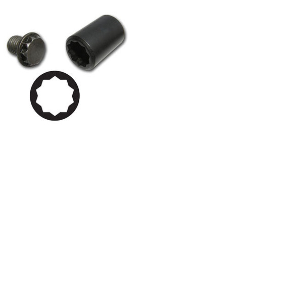 10 pt. Socket, 3/8” Sq. Dr. V10PT