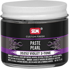 COLOR HORIZONS Paste Pearls - Violet 2-Tone 35252