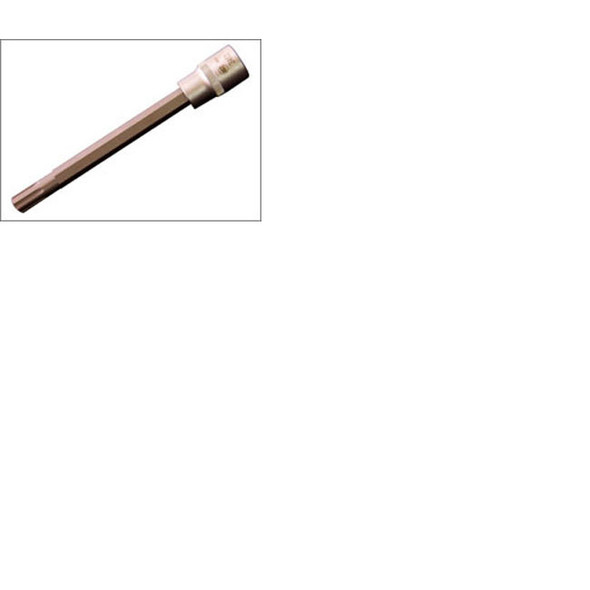 #10 Polydrive Head Bolt Socket 3462