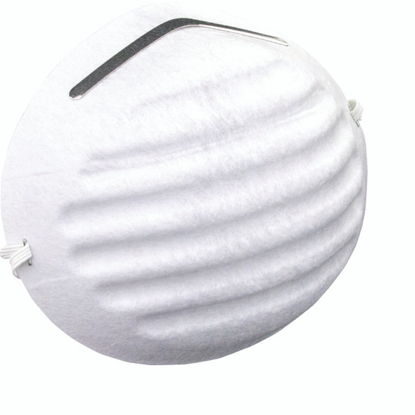 Nuisance Dust Mask 2985