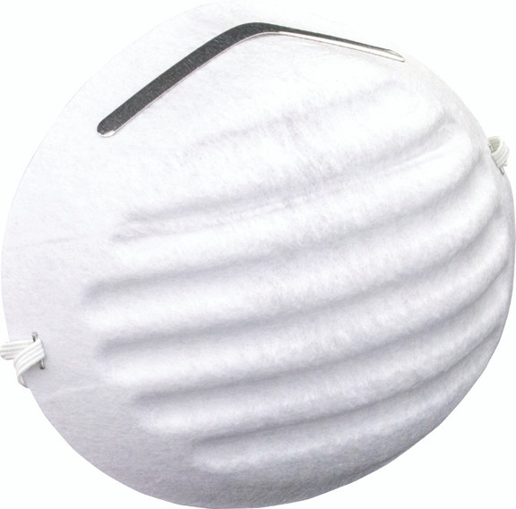 Nuisance Dust Mask 2985