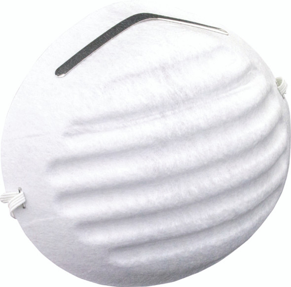 Nuisance Dust Mask 2985