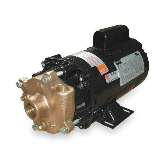 Dayton Bronze/Brass 1/3 HP Centrifugal Pump 115/230V 2ZWR4